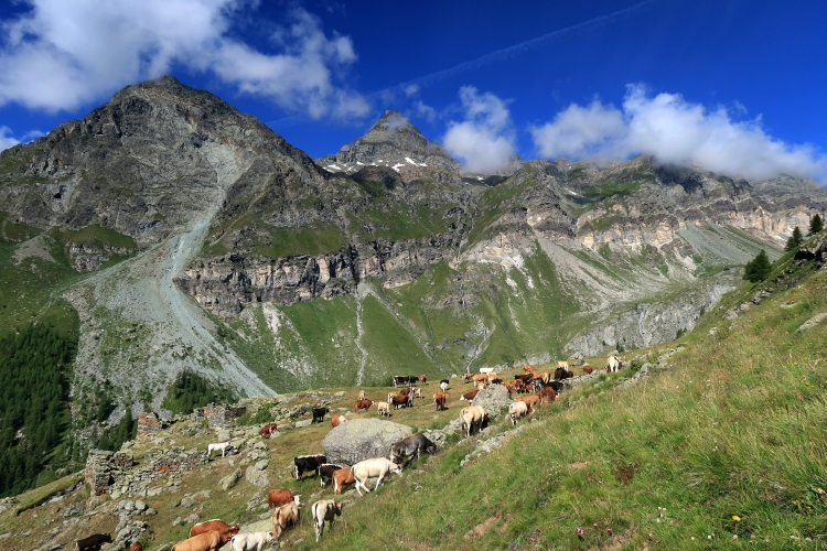 Collegamento Cime Bianche: Europa verde, preoccupata, scrive alla Schlein
