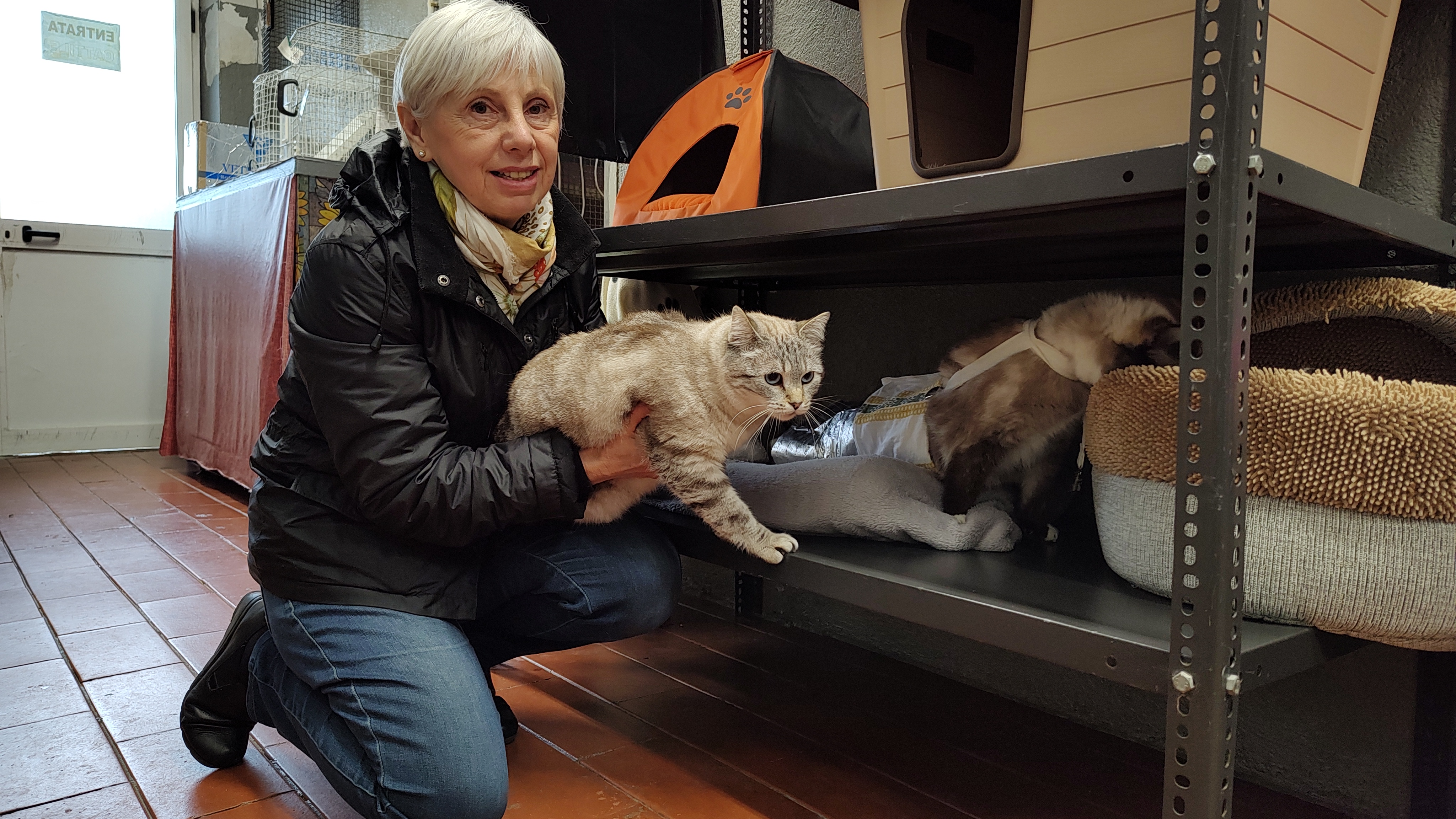 I 'pelosetti' del canile-gattile hanno bisogno di felicità I 'pelosetti' del canile-gattile hanno bisogno di felicità