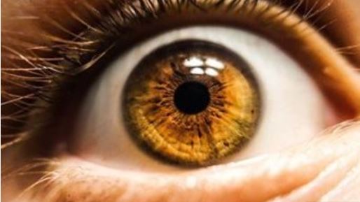 Malattie rare della retina: collaborazione tra Valle d’Aosta e Piemonte