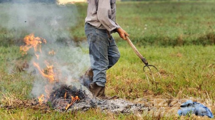 Pericolo incendi, per Pcp «gli inviti a evitare  gli abbruciamenti agricoli non bastano»