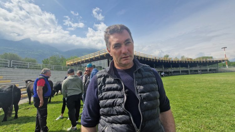 Batailles de Reines, Bonin in corsa contro il quorum