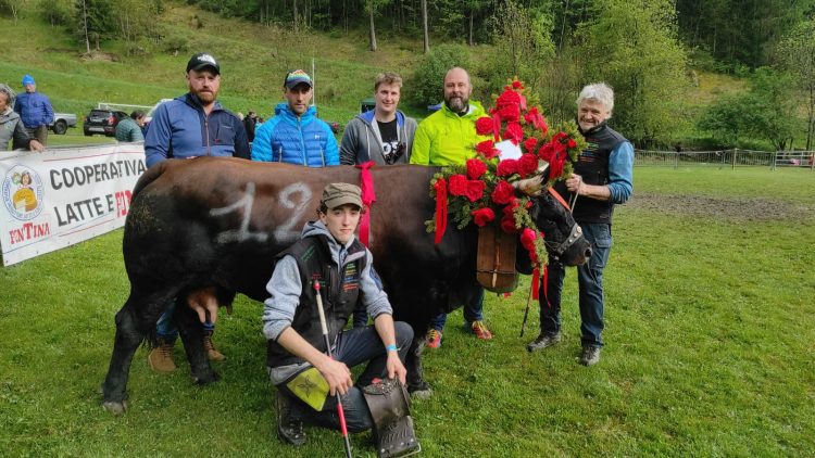 Batailles: Baticha, Belville e Fontaine regine a Valpelline