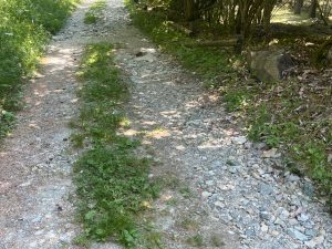 Champdepraz, Disval denuncia: «percorso naturalistico inaccessibile e pericoloso»