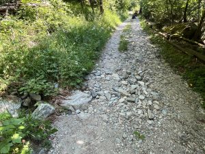 Champdepraz, Disval denuncia: «percorso naturalistico inaccessibile e pericoloso»
