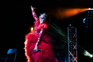 Il cigno rosso di Fabio Porliod per Luxuria Soundtrack