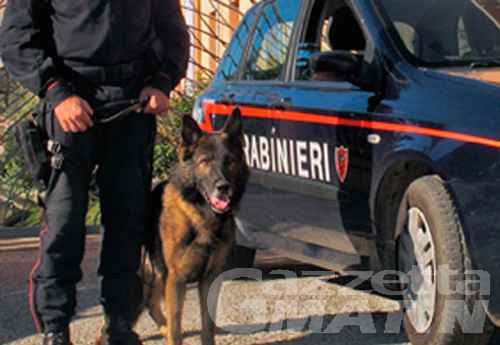 Châtillon, spaccio anche ai minori: arrestato 35enne Châtillon, spaccio anche ai minori: arrestato 35enne