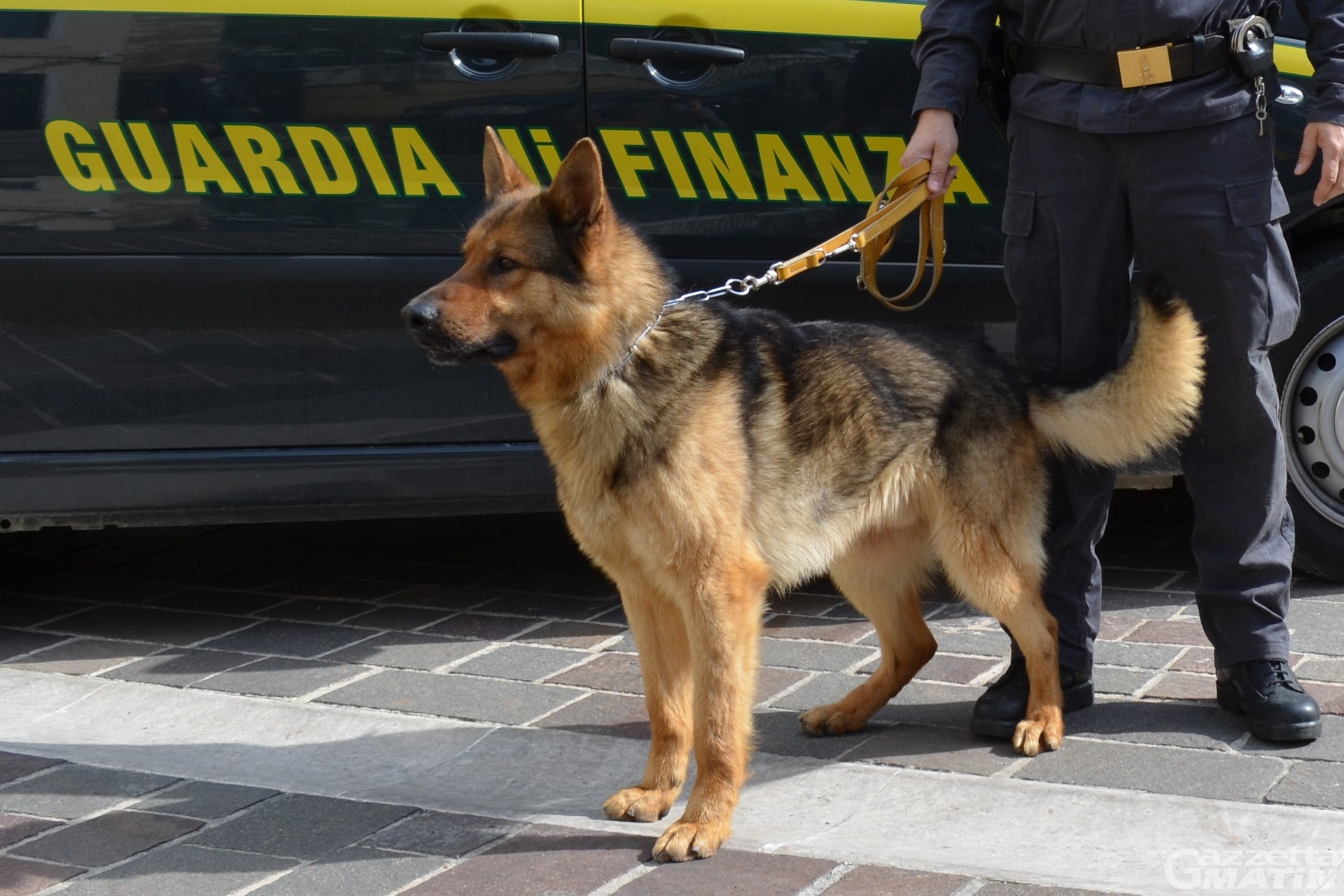 Droga, tre arresti della Guardia di finanza ad Aosta Droga, tre arresti della Guardia di finanza ad Aosta