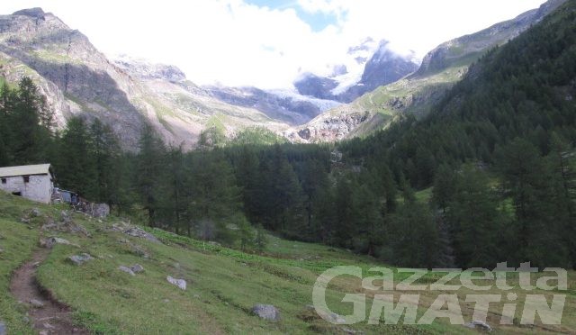 Centrale di Cortlys, associazioni ambientaliste contro il nuovo progetto Centrale di Cortlys, associazioni ambientaliste contro il nuovo progetto