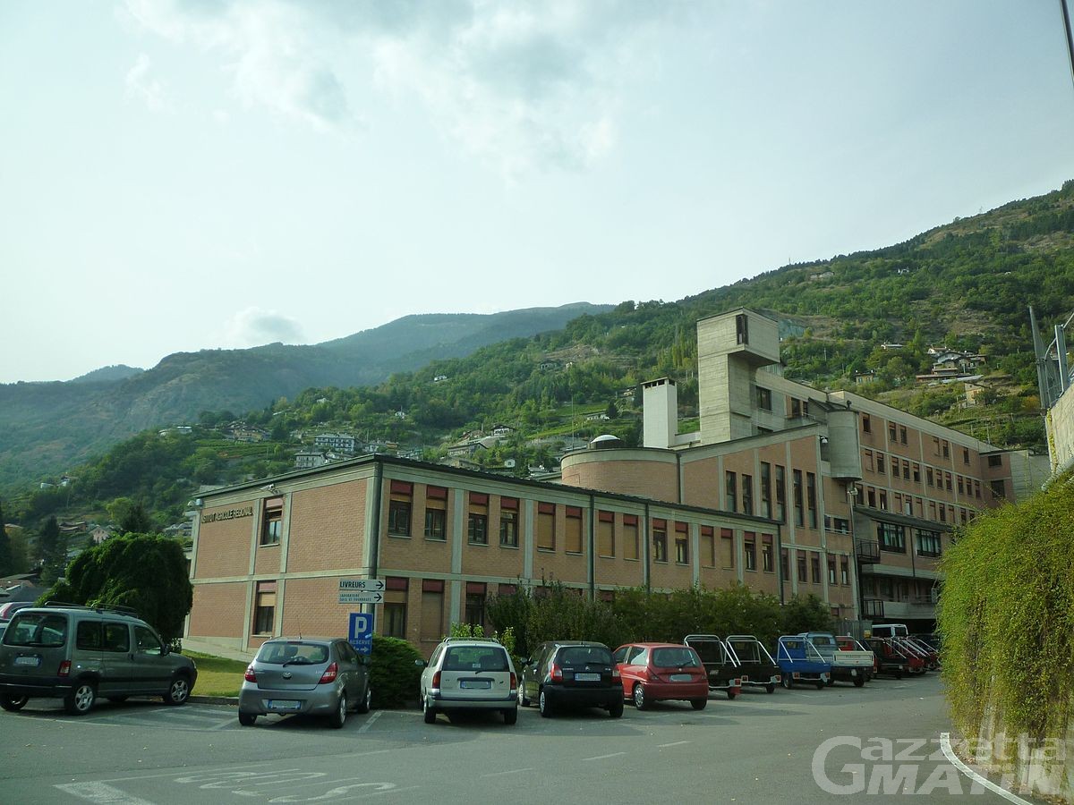Agricoltura: accordo per scambi tra scuole della VdA e del Vallese Agricoltura: accordo per scambi tra scuole della VdA e del Vallese