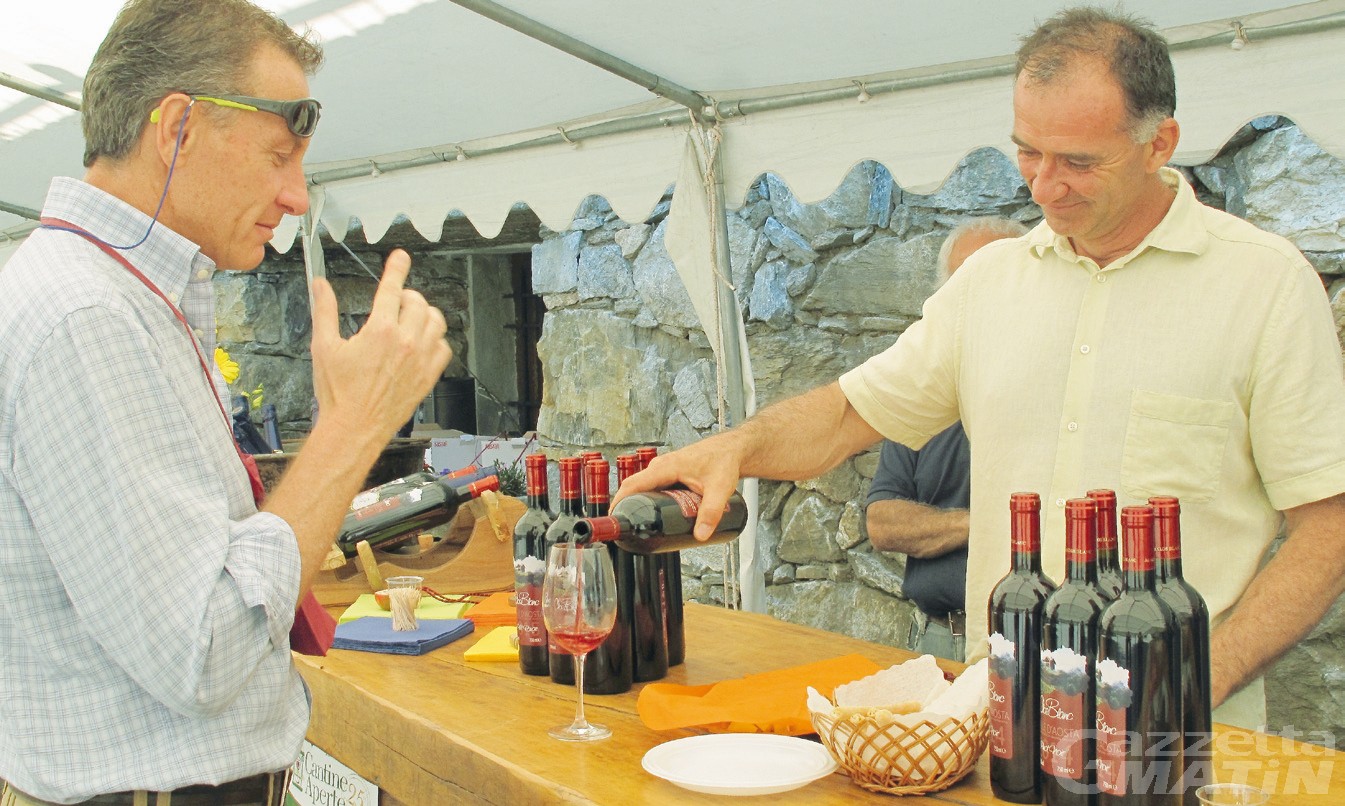 Vini in vigna, tre domeniche alla scoperta dei vini e dei vitigni eroici della Valle d’Aosta Vini in vigna, tre domeniche alla scoperta dei vini e dei vitigni eroici della Valle d’Aosta