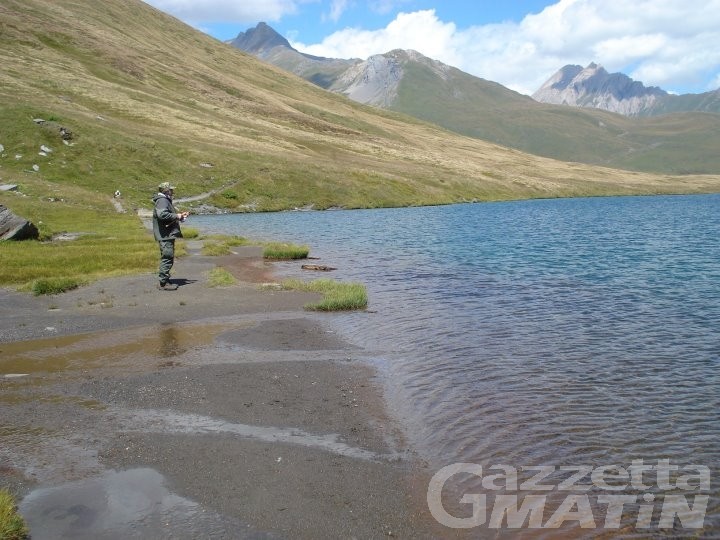 Pesca: cinque multe elevate al lago Verney di La Thuile Pesca: cinque multe elevate al lago Verney di La Thuile
