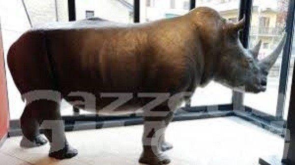 Aosta: 5500 visitatori alla mostra Dinosauri in carne e ossa Aosta: 5500 visitatori alla mostra Dinosauri in carne e ossa