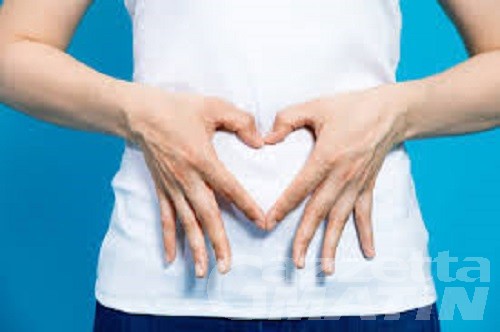I fermenti lattici per la cura dell’intestino I fermenti lattici per la cura dell’intestino