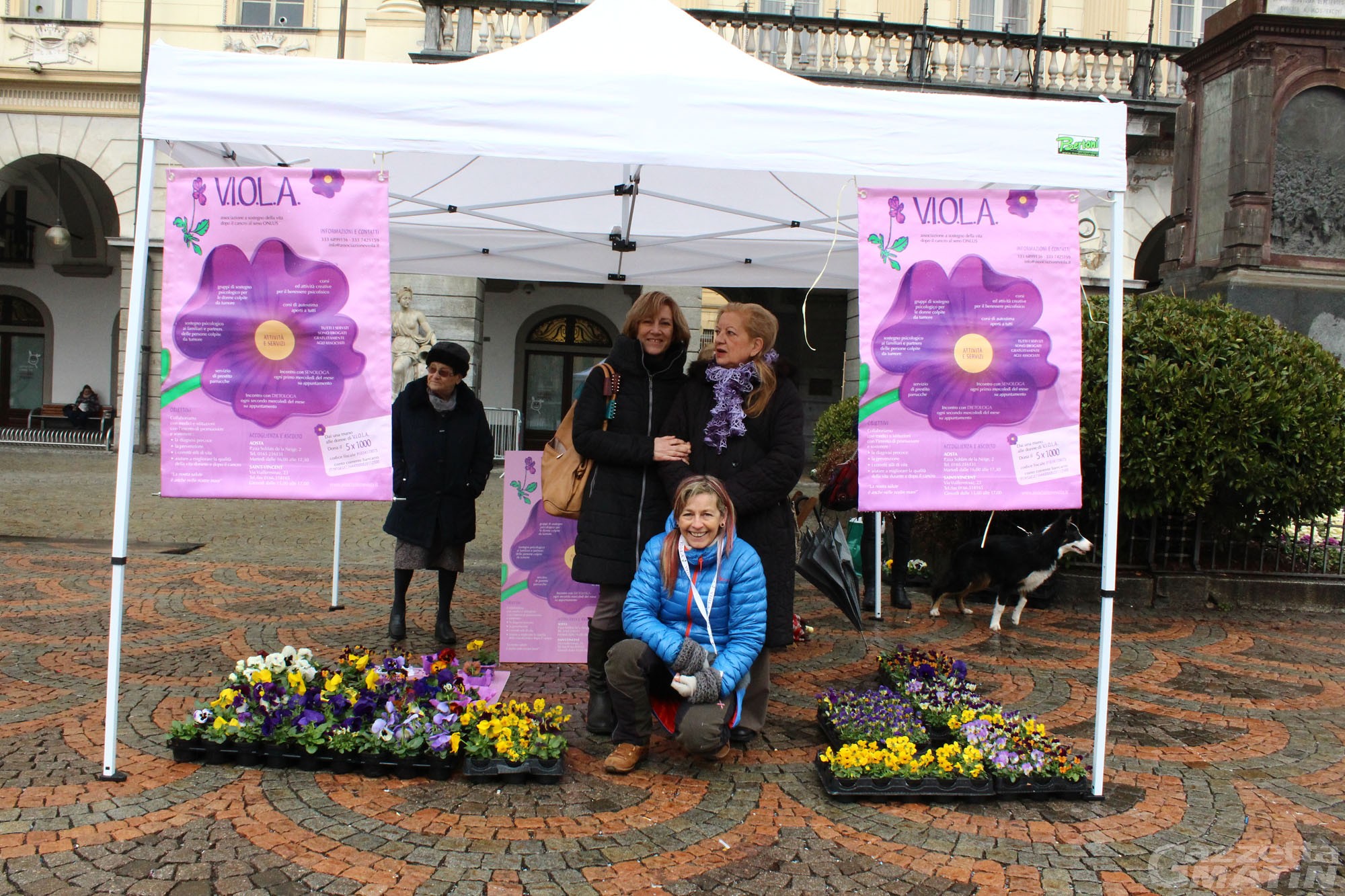 Sanità, l’associazione VIOLA: «Preoccupati dalla carenza di medici radiologi» Sanità, l’associazione VIOLA: «Preoccupati dalla carenza di medici radiologi»