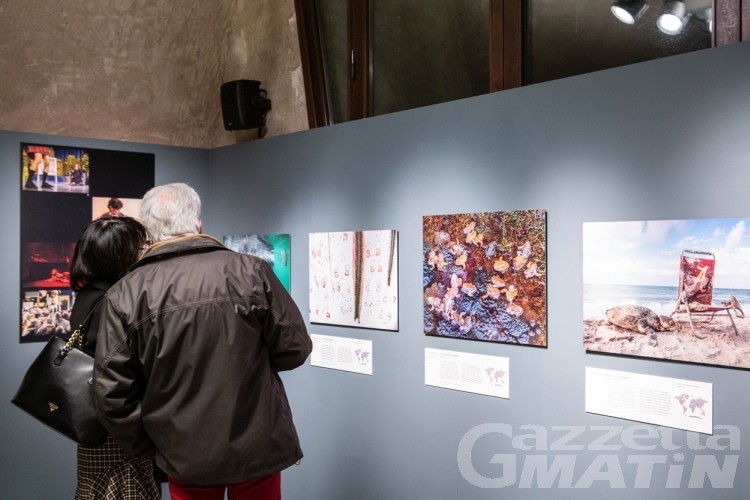 Forte di Bard: da domani e fino a settembre la mostra Wildlife Photographer of the Year Forte di Bard: da domani e fino a settembre la mostra Wildlife Photographer of the Year