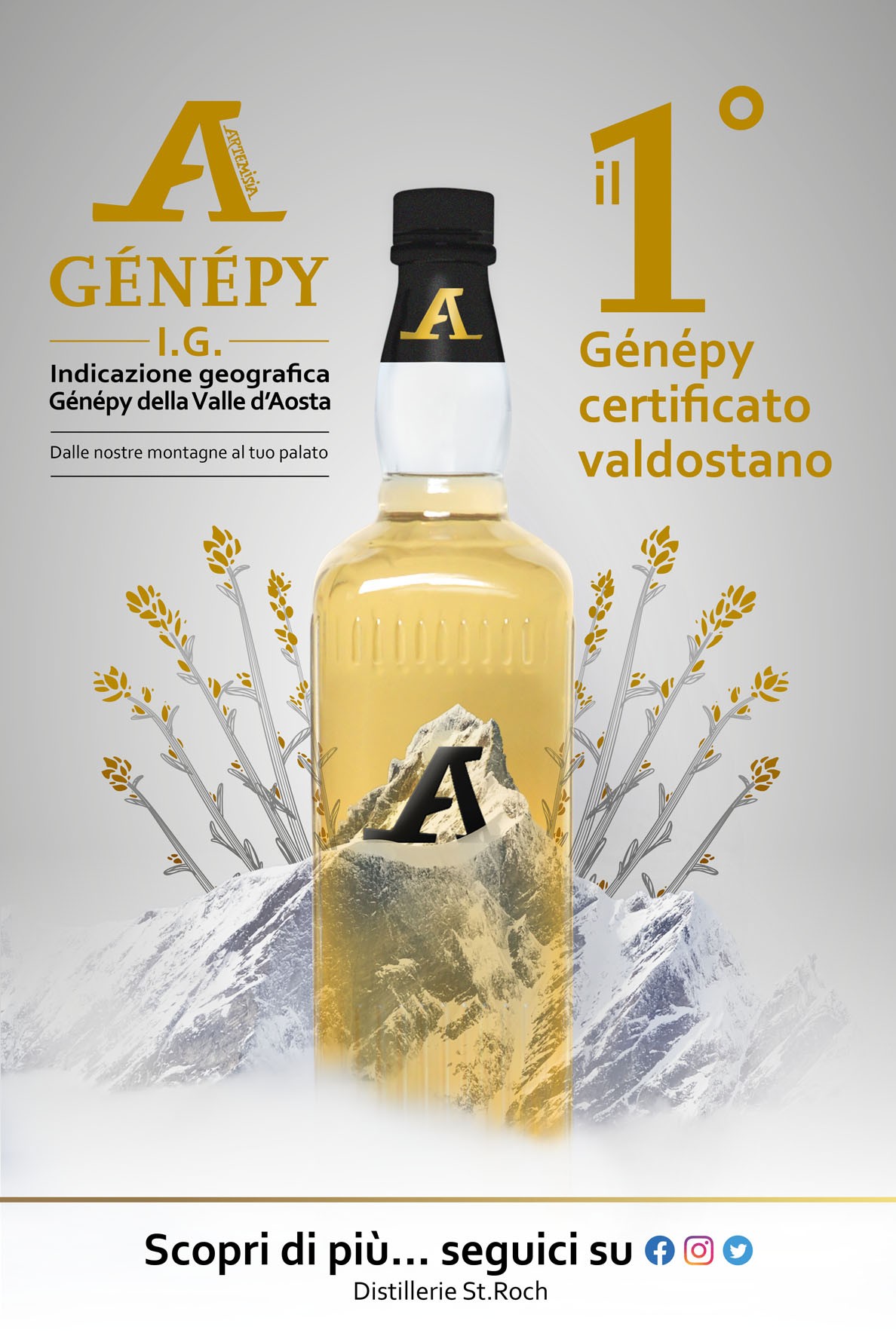 Sbarca sul mercato A Artemisia Génépy, il primo Génépy certificato IG Sbarca sul mercato A Artemisia Génépy, il primo Génépy certificato IG