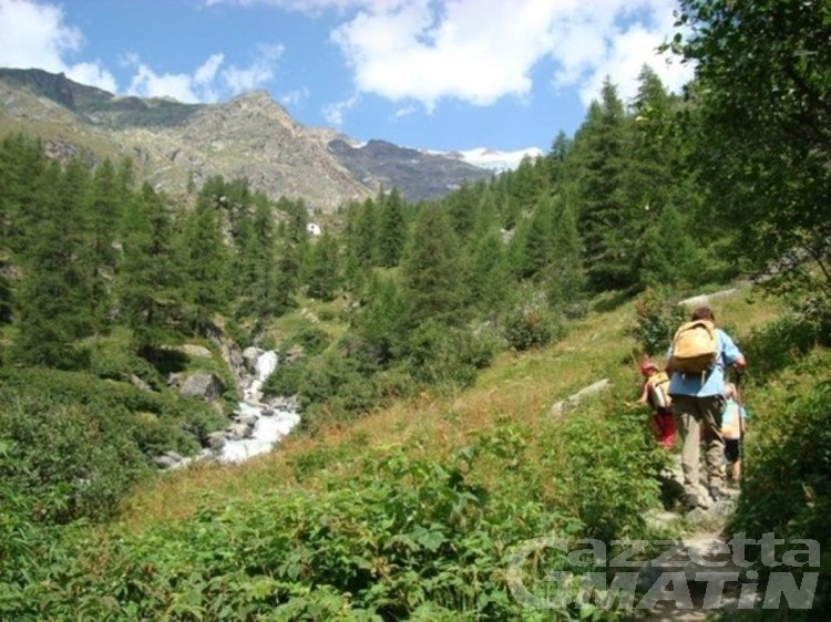 Alpe Cortlys: esposto in Procura sulla nuova concessione per la centralina idroelettrica Alpe Cortlys: esposto in Procura sulla nuova concessione per la centralina idroelettrica