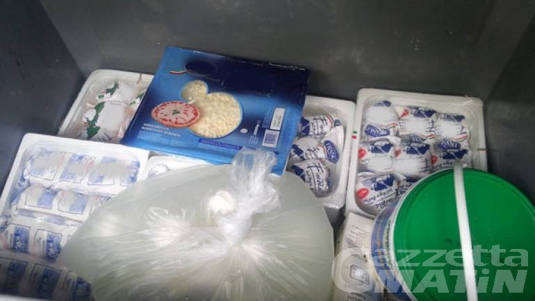 Verrès, trasporta mozzarelle e ricotte mal conservate: sequestro e sanzione di 4 mila euro Verrès, trasporta mozzarelle e ricotte mal conservate: sequestro e sanzione di 4 mila euro