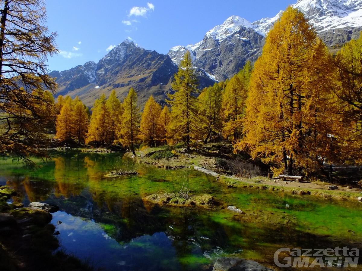 La Cas approva il bilancio: in Valle d’Aosta si investe nella sostenibilità La Cas approva il bilancio: in Valle d’Aosta si investe nella sostenibilità