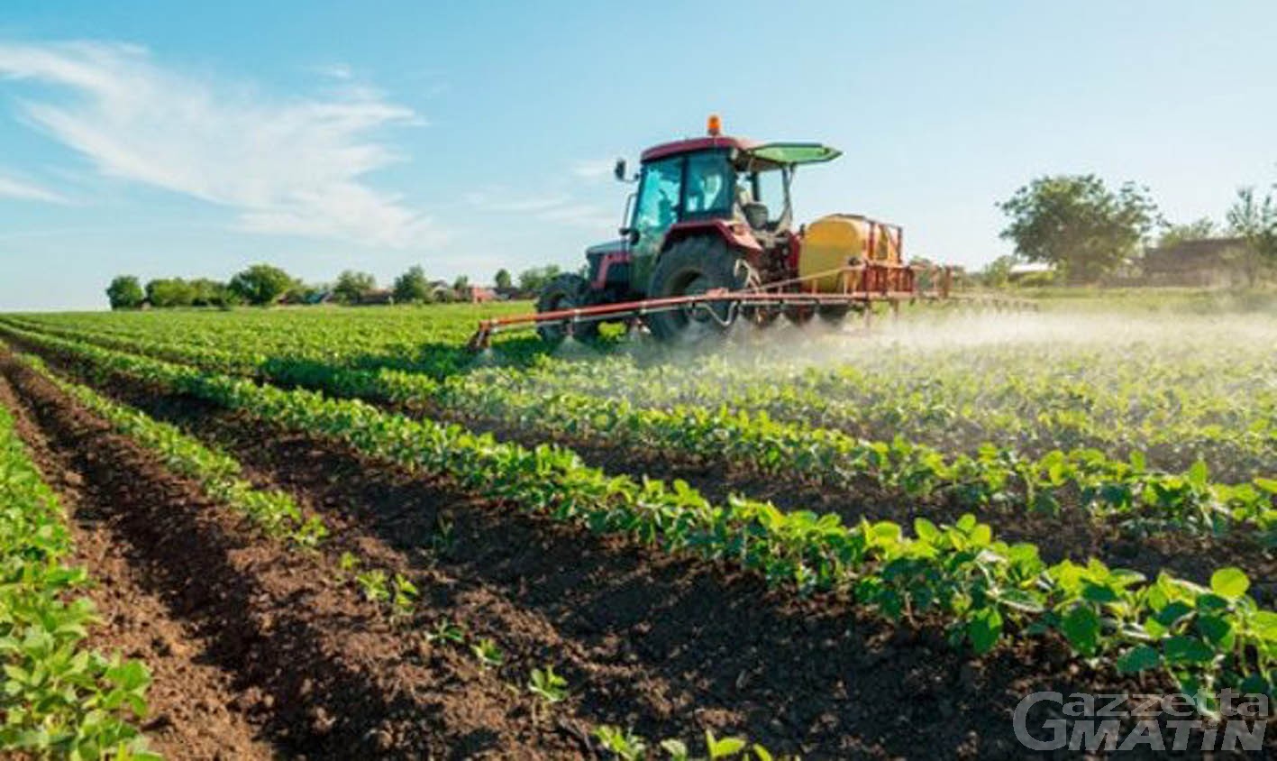 Agricoltura: una legge per il riconoscimento delle fattorie sociali Agricoltura: una legge per il riconoscimento delle fattorie sociali