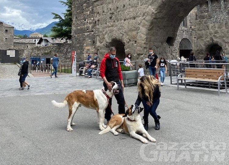 Televisione: domenica 13 Valle d’Aosta protagonista su Rai 1, Rete 4 e La 7 Televisione: domenica 13 Valle d’Aosta protagonista su Rai 1, Rete 4 e La 7
